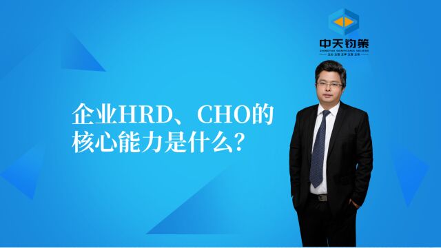 【许OK】管理智慧金句系列2:企业HRD、CHO的核心能力是什么?