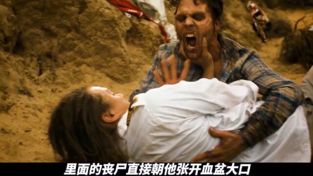 行尸之惧大合集(第二季)