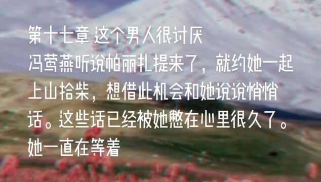 原创长篇小说《天山之恋》第十七章