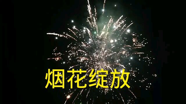 元宵节晚上,郑州的夜空烟花璀璨,人间烟火又回来了