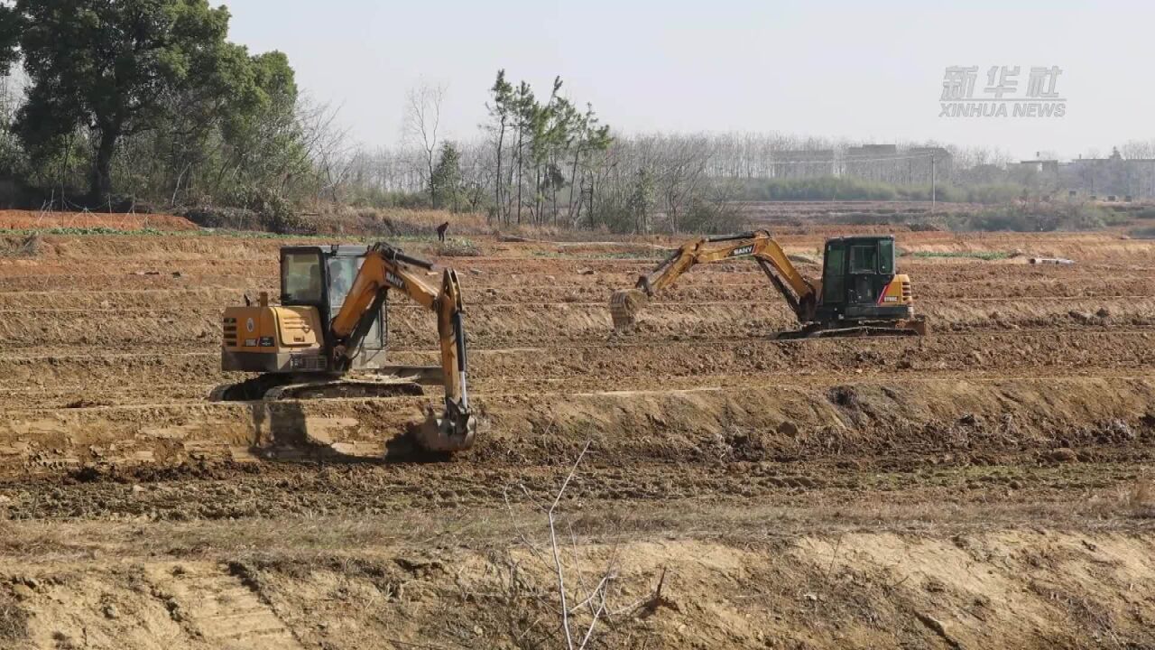 江西都昌:高标准农田建设忙