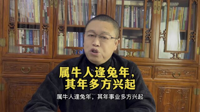 十二生肖运势详解:属牛的人兔年要注意什么?属牛人逢兔年,其年多方兴起