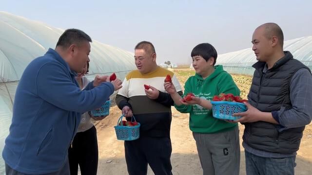 带俺哥去摘草莓,体验乡村生活,俺哥激动的差点摔倒,惊喜不断,没想到吃草莓的时候俺哥让在场的人都惊呆了,最后还大方的给老板钱