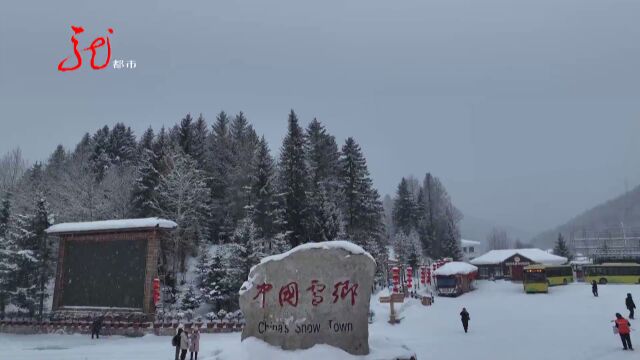 黑龙江:瑞雪兆丰年 省内多地迎来降雪