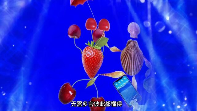 《我们相遇在花开的季节》