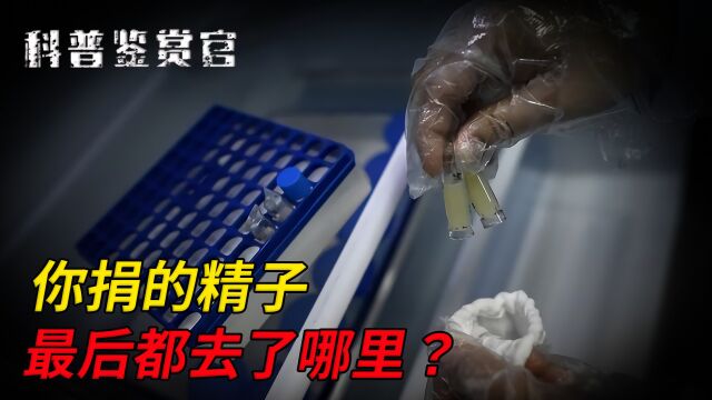 什么是捐精?多地人类精子库号召大学生捐精,精子最后去了哪里?