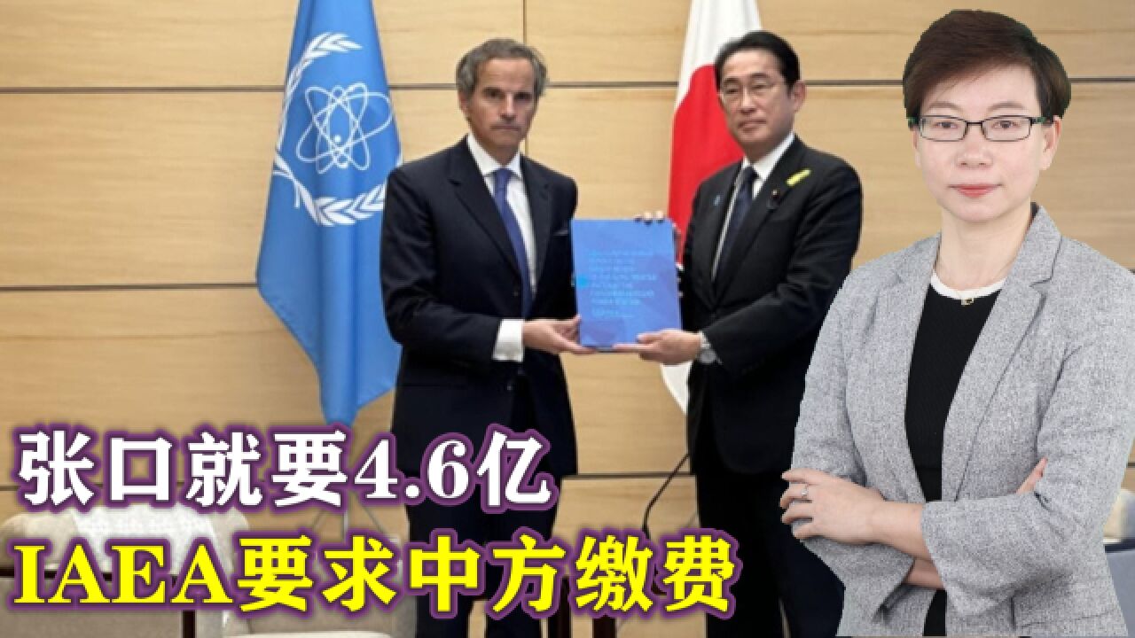 IAEA逐渐沦为西方的“私有物”,我们可以从它开始,敲碎美国霸权体系