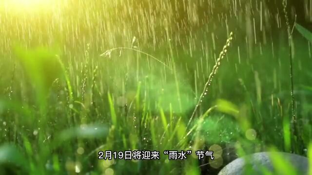 雨水节气的由来和习俗.