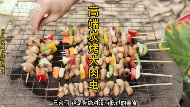 高端大肉虫