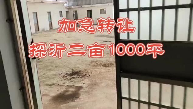 转让费县探沂二亩小院, 房子二十间,大棚500平,靠近S327省道,建设用地,水电齐全,土地买断无承包费,报价62万