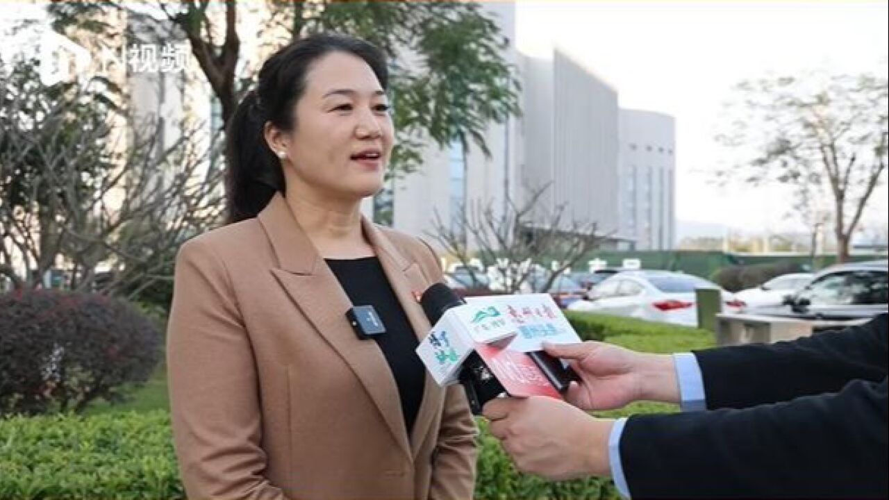 博罗县泰美镇党委副书记、镇长赵谊莉:走出三产融合新路子