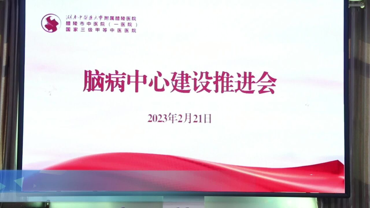 奋楫扬帆,笃行致远!醴陵市中医院召开脑科中心建设推进会