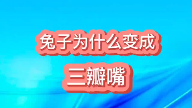 民间故事,兔子为什么变成了三瓣嘴