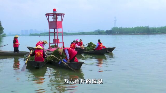 “我奋斗ⷥ›𝧾Ž”!滇池巾帼打捞队守护一池春水的故事