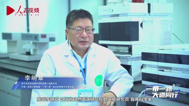 猕猴桃香飘丝路 “小果子”做出“大文章”