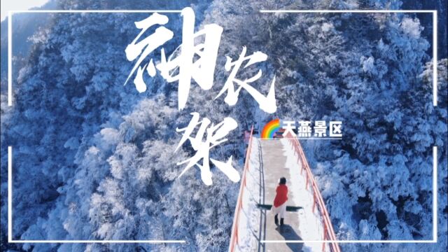 飞跃雪中神农架,天燕景区恍如仙境