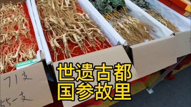 世遗古都国参故里,逛逛集安大早市,说说我的看法你的观点