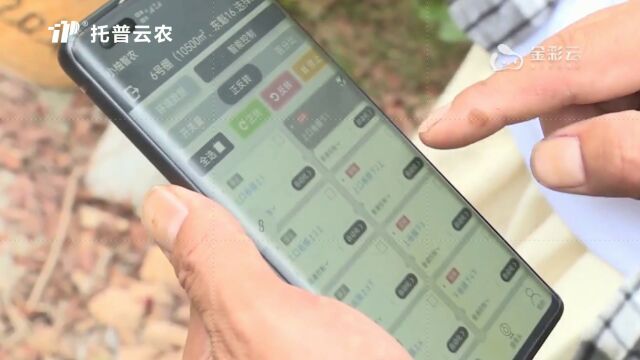 托普云农兰农在线2.0上线