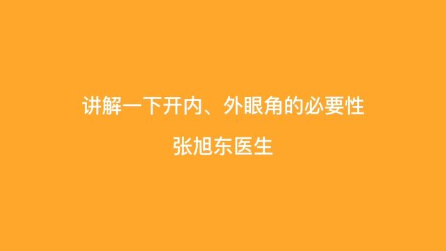 讲解一下开内、外眼角的必要性【张旭东医生】