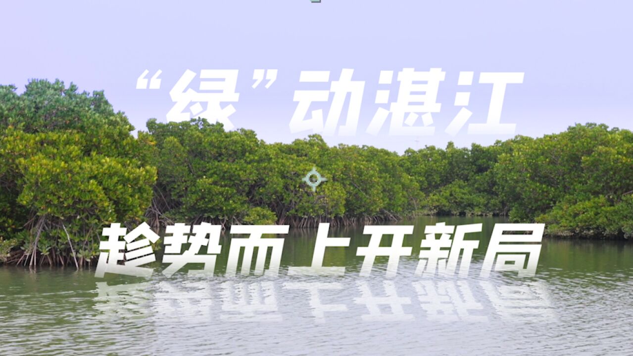 百秒产1卷钢,日均产值8000万元,湛江钢铁是怎样炼成的