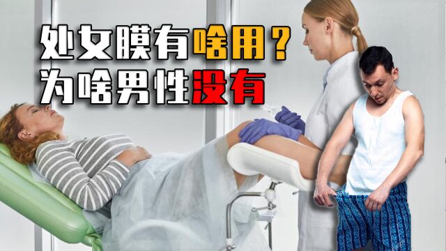 为什么女性有处女膜,男性却没有?处女膜到底有啥用?