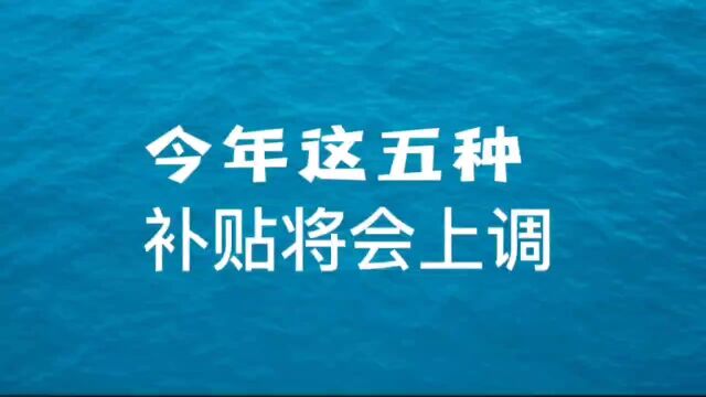 今年这五种补贴将会上调,你知道吗