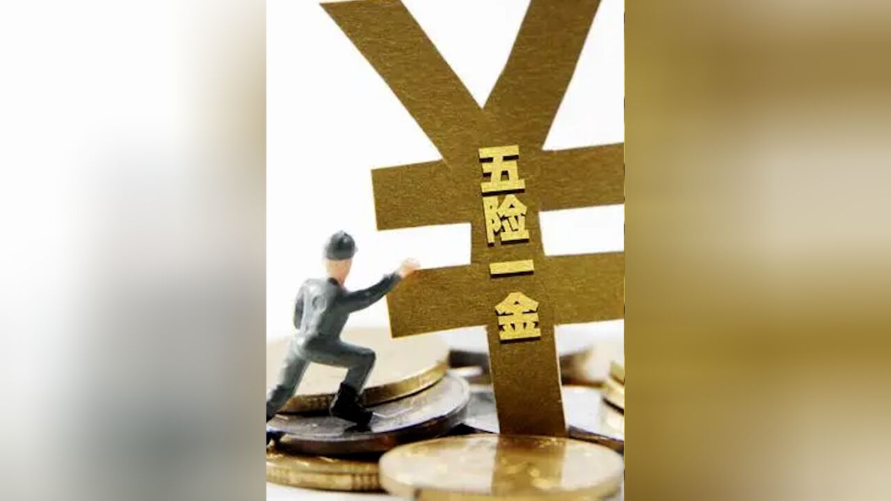 小六的科普日常|如果不缴五险一金,会发生什么?