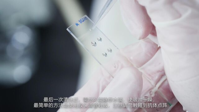 RayBiotech玻璃芯片操作注意事项