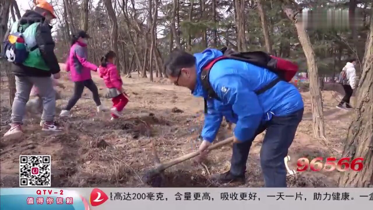 青岛能源热电集团志愿者团队为岛城增添新绿