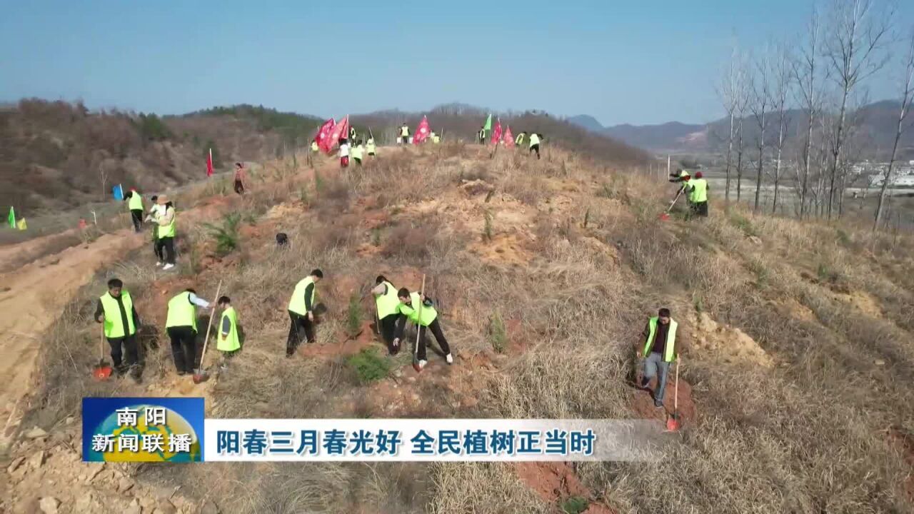 南阳:阳春三月春光好,全民植树正当时