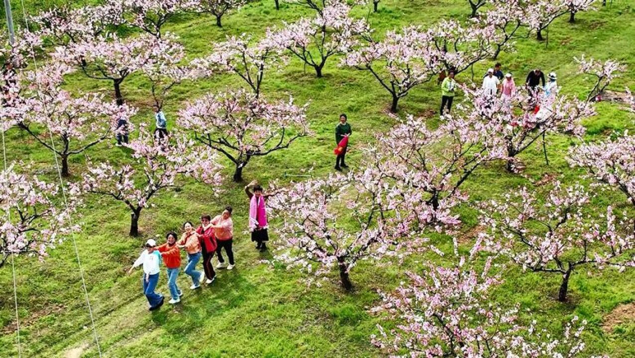 春天的故事丨道县:春花浪漫醉游人