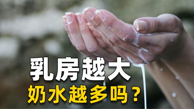 乳房越大,奶水就越多吗?乳汁的多少与乳房大小有没有关系吗?