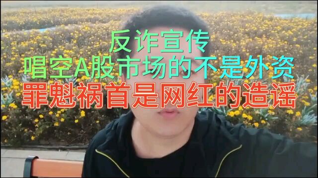 反诈骗宣传,唱空A股市场的是那些网红,而不是外资.