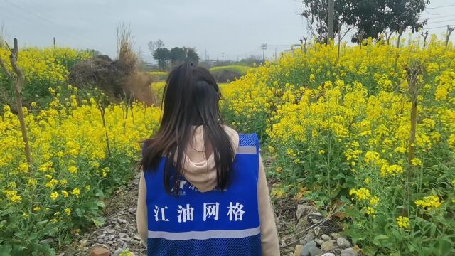 这么美的油菜花 再植上新树 很有意义