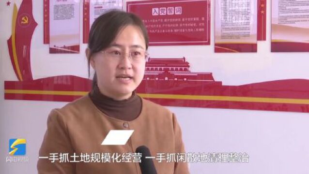 临邑:边角地承包发展特色产业 盘活“三类地”激发新动能