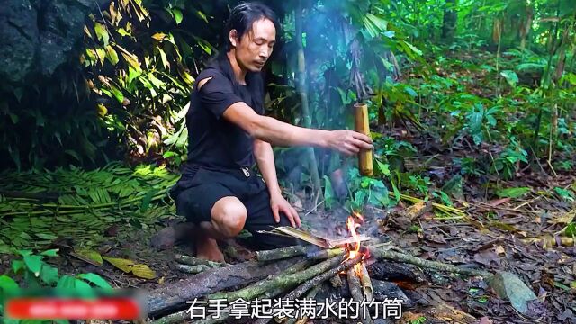 男子独自荒野求生,拓荒种地发展农牧业,实现食物自由