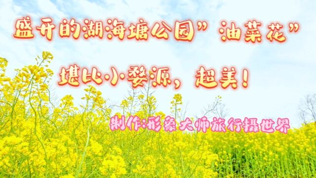 盛开的湖海塘公园“油菜花”堪比小婺源,超美!