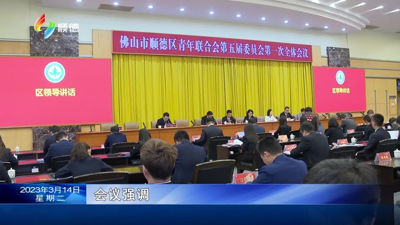 顺德区青联五届一次全会召开 勇担责任共谋发展