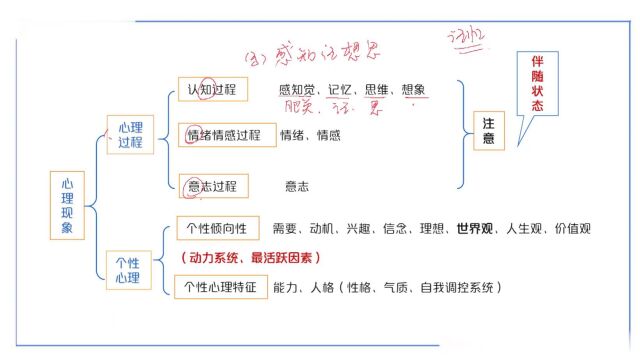 2023年山东教师招聘 普通心理学 理论精讲班