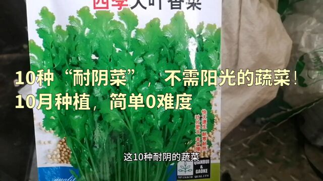 10种“耐阴菜”,不需要阳光的蔬菜!10月后种植,简单0难度