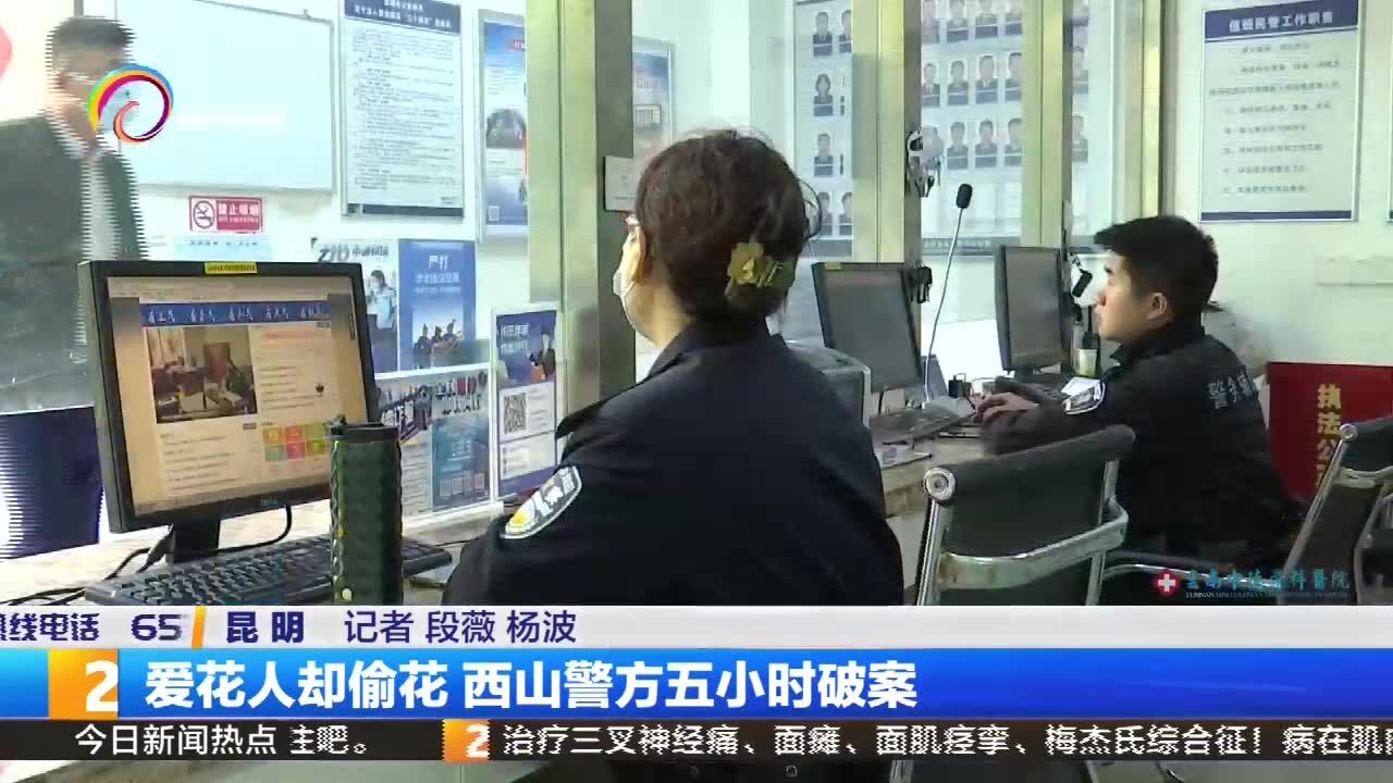 爱花人却偷花 西山警方五小时破案