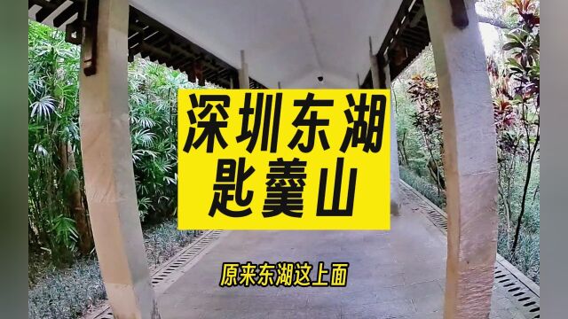 深圳的匙羹山懂粤语知道是勺子山,原来还是一个很幽静的地方.随拍 闲聊 旅行