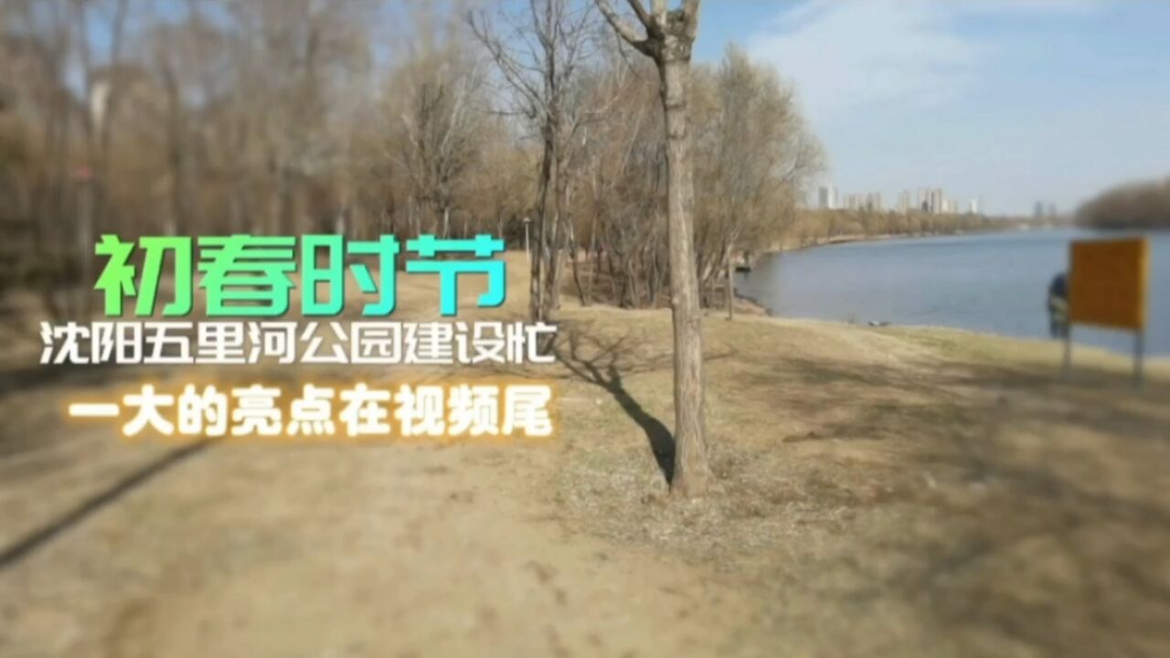 初春时节,沈阳五里河公园建设忙|生活+