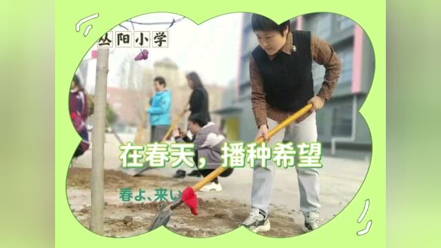 丛阳小学在校园内种植树播种希望