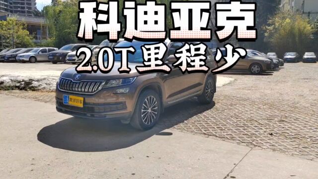 研究大众的都买了斯柯达?2019年的科迪亚克