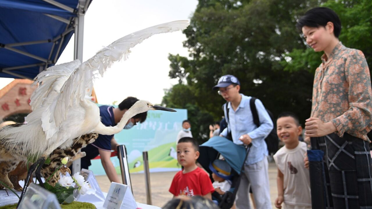 广东省暨深圳市第42届“爱鸟周”活动开幕