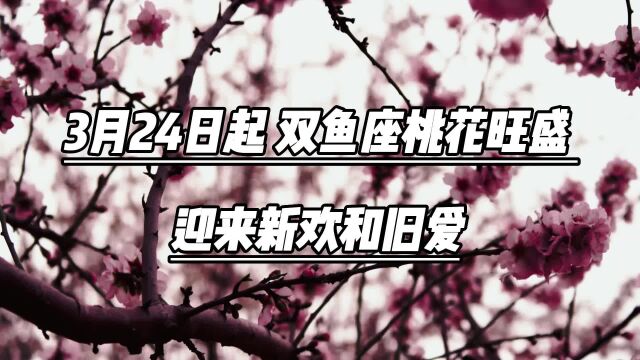 3月24日起,双鱼座桃花旺盛,迎来新欢和旧爱