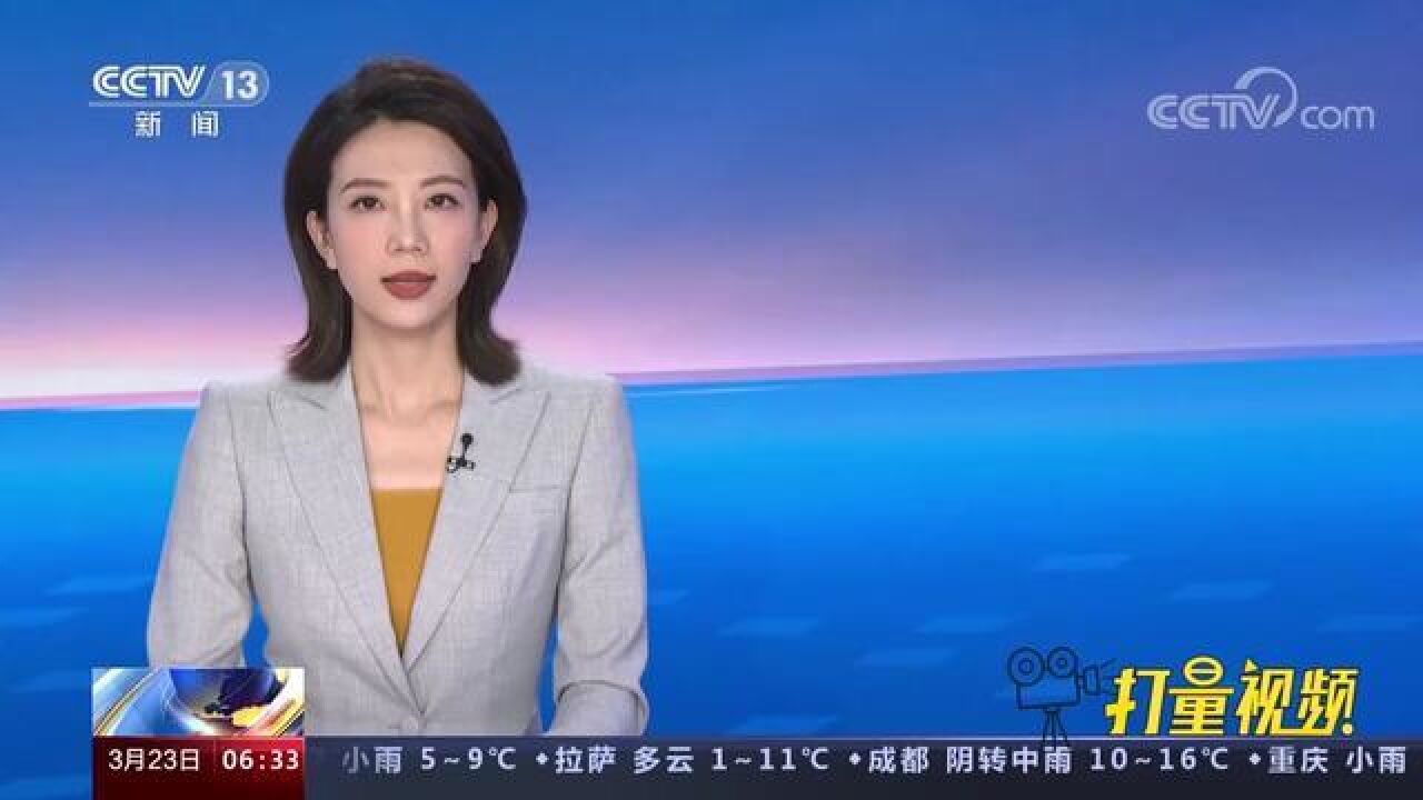 公安部发布常见个人退税骗局,个税申报保护好隐私按官方指引操作