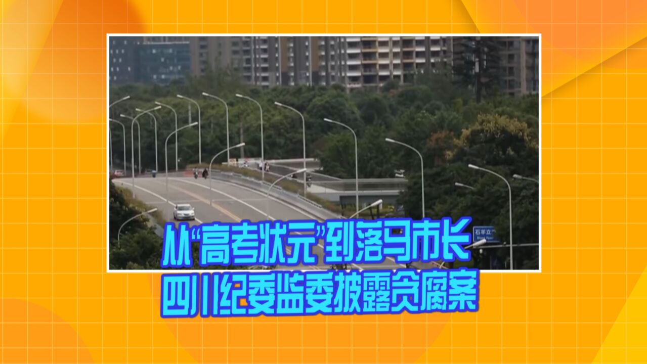 从“高考状元”到落马市长 四川纪委监委披露“高考状元贪腐案”