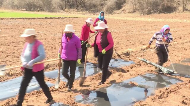 治理水土流失 建设秀美家园——2023年国家水土保持重点工程和政县牛津河流域三十里铺项目开工建设